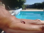 IMG_20220724_170738.jpg