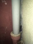 IMG_2172.JPG