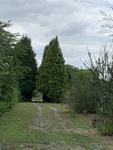 IMG_8958.jpeg