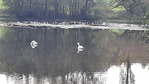 20221022_151543.jpg