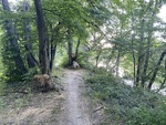 IMG_7304.jpeg