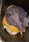 IMG_3408.jpeg