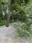 IMG_3144.jpeg
