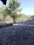 IMG_20210613_091358314.jpg