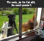 images1.jpg