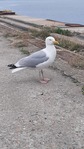 20230628_185401.jpg