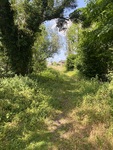 IMG_3452.jpeg