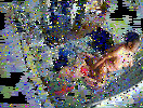 IMG_1018.gif