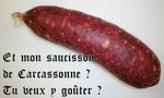 UnebellesaucissedeCarcassonne..jpeg