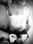 IMG_0308.jpeg