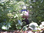 DSCF0025.JPG