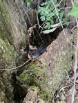 IMG_5612.jpeg