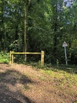 IMG_20250622_191752.jpg