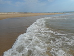 plagelagrandeplage9.JPG