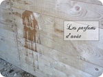 ParfumsdAot-OK.jpg