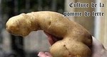 Cul-Ture.jpg