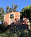 IMG_5815.jpeg