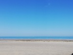IMG_20190825_131959.jpg