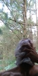 IMG_20220803_233806.jpg