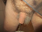 IMG_6869.JPG