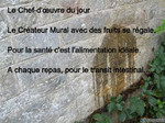 Pipi.contre.le.Mur...jpg