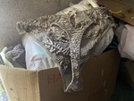 IMG_1397.jpeg