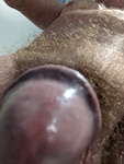 PXL_20250417_061740328.jpg