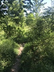 IMG_2674.JPG