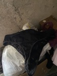 IMG_1405.jpeg