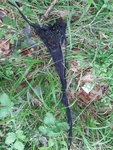 IMG_20230515_180013.jpg