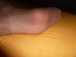 P1220553.JPG