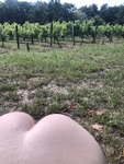 IMG_8807.jpeg