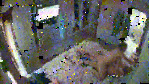 20220520113419525_Canal-11_G11008860.gif