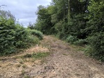 IMG_20250627_125129.jpg