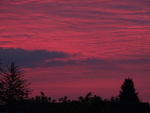 DSC02097.JPG