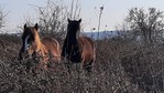 20210307_164159.jpg