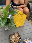 IMG_0835.jpeg