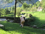 IMG_5464.JPG