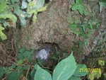100_0386.JPG