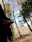 20210309_130953.jpg