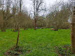 IMG-20250330-172548.jpg