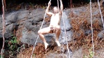 493_1000.jpg