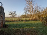 IMG_20250327_080328.jpg