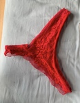 IMG_2309.jpeg