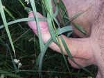 WP_20140610_004.jpg