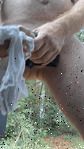 20240911_170124_3.gif