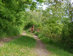 DSC_4339.JPG