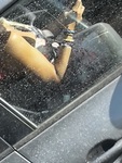 IMG_9221.jpeg