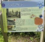 IMG_2737.jpeg