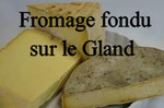 Frome..au..Gland...jpg
